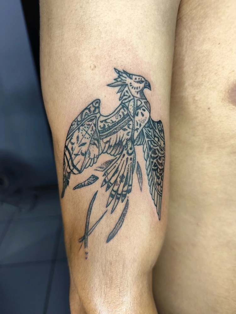 GIF enviado por Rafael