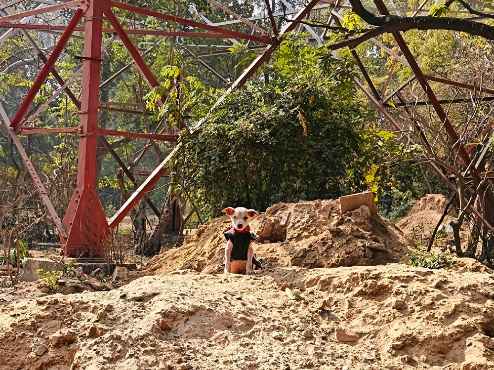 Image uploaded by Maddy