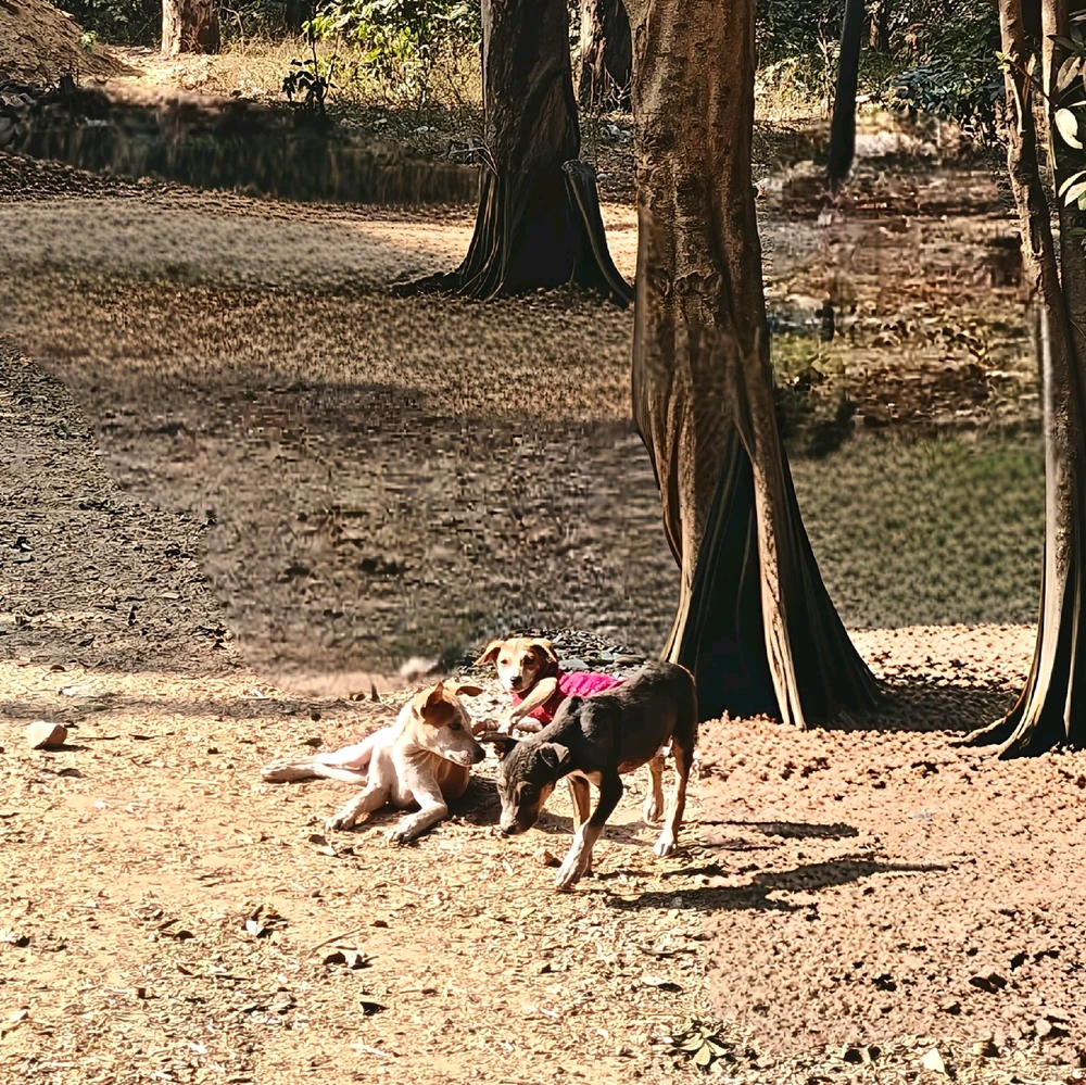 Image uploaded by Maddy