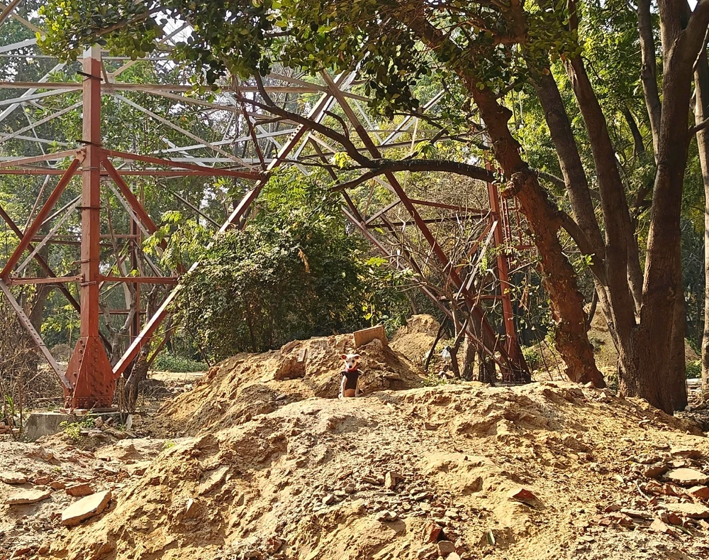 Image uploaded by Maddy