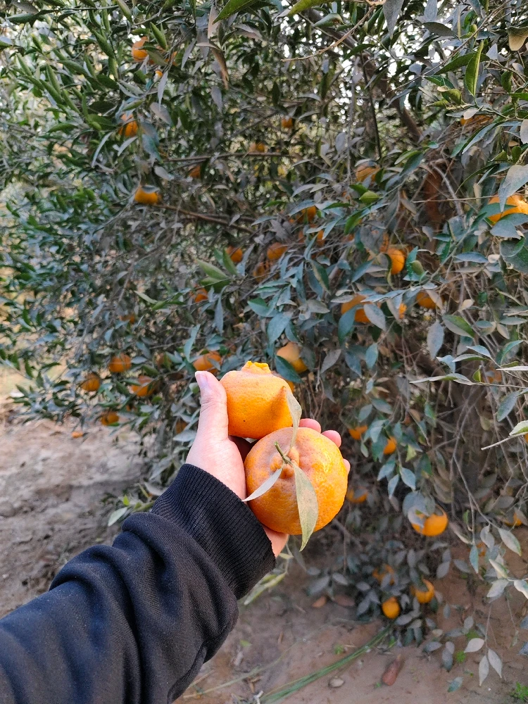 GIF uploaded by Mohamed Yousry