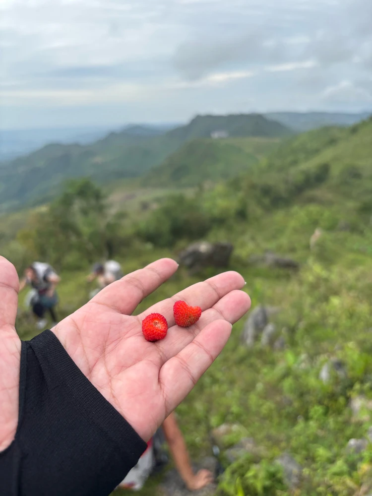 Image uploaded by Rozanne