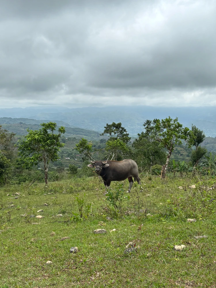 Image uploaded by Rozanne