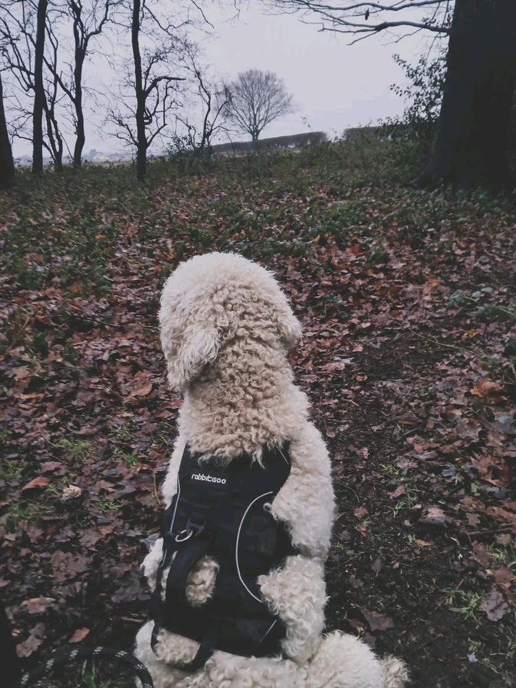 Image uploaded by Crystal