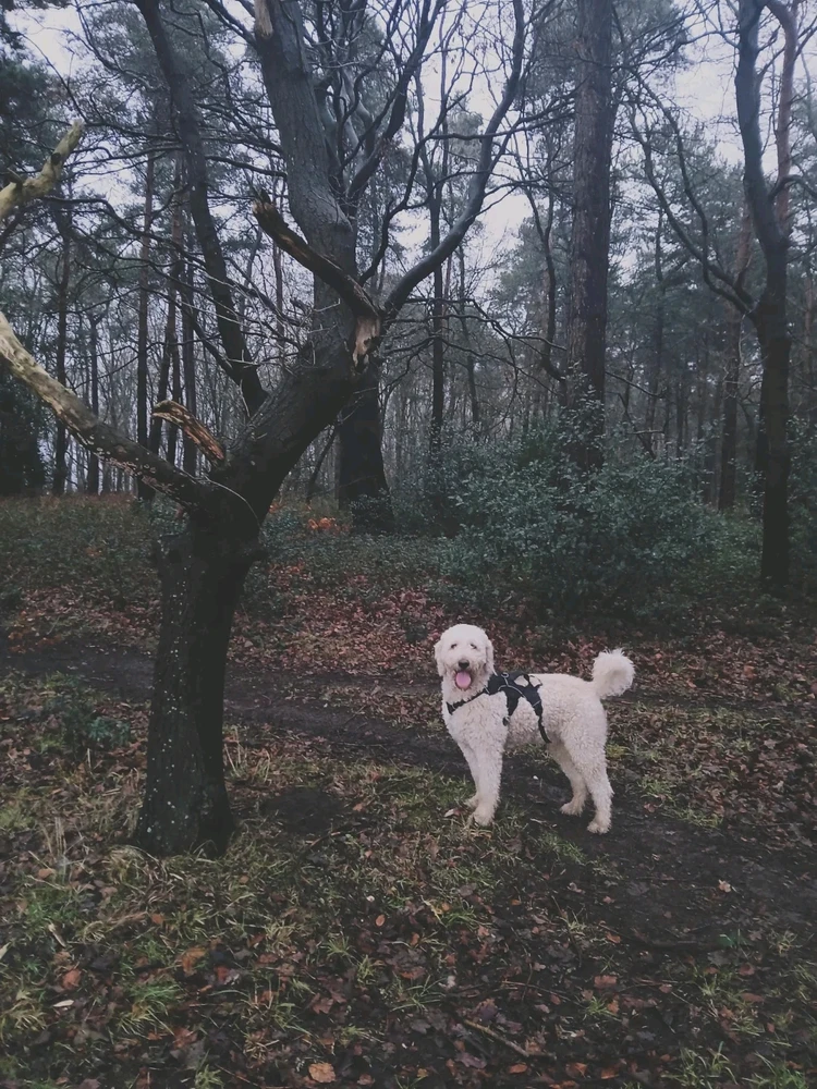 Image uploaded by Crystal