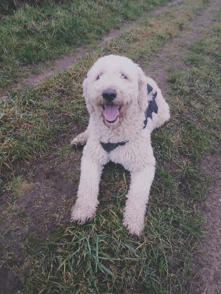 Image uploaded by Crystal