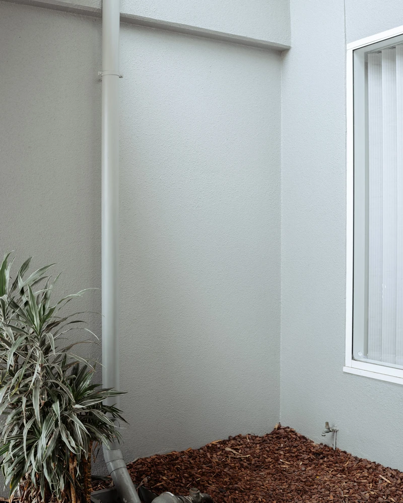 Image uploaded by Dave