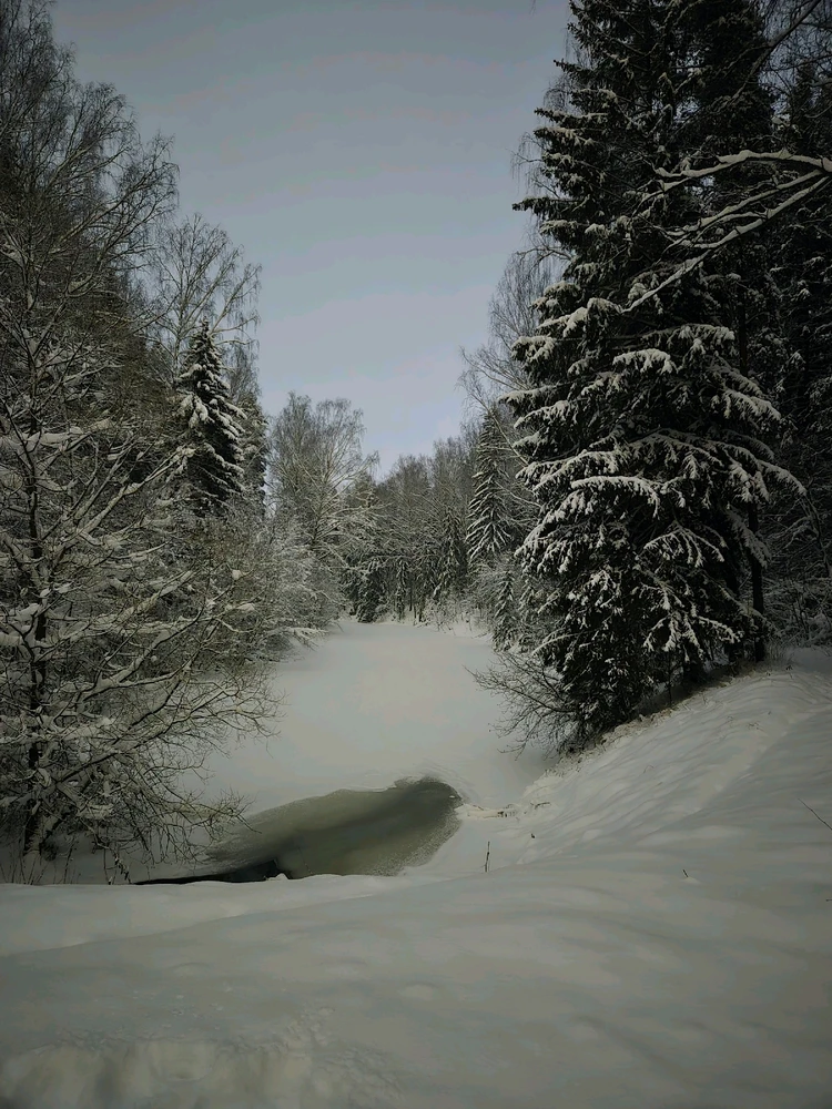 GIF uploaded by Ruslan