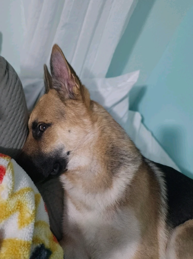 GIF uploaded by Earl