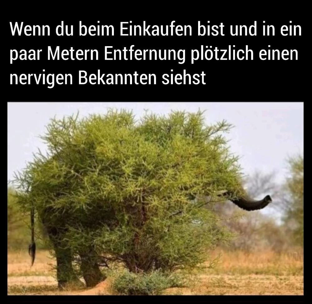 GIF hochgeladen von đđđ€đ€đđđ