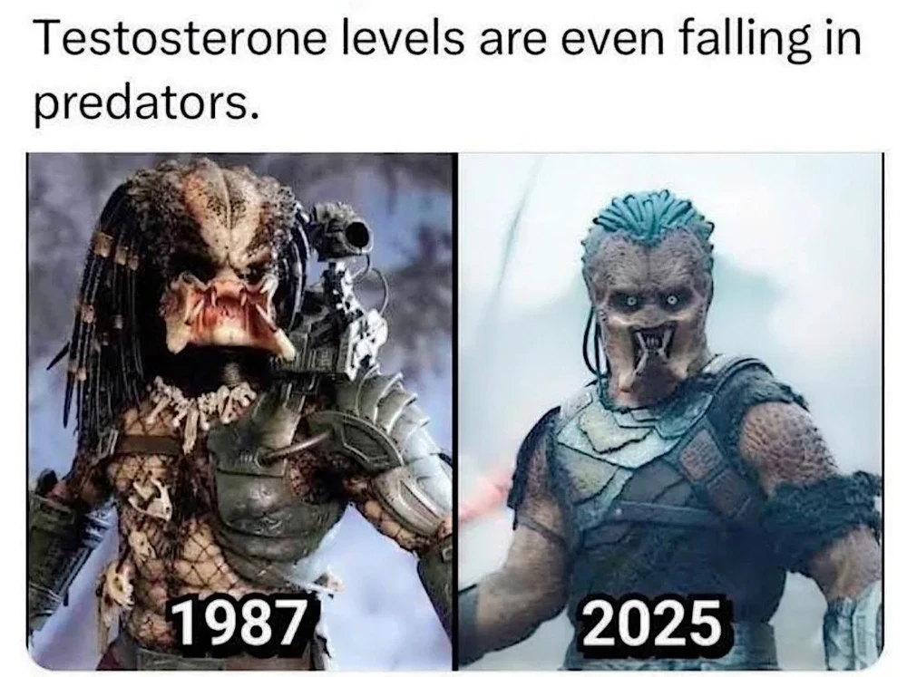 GIF uploaded by Gorgona