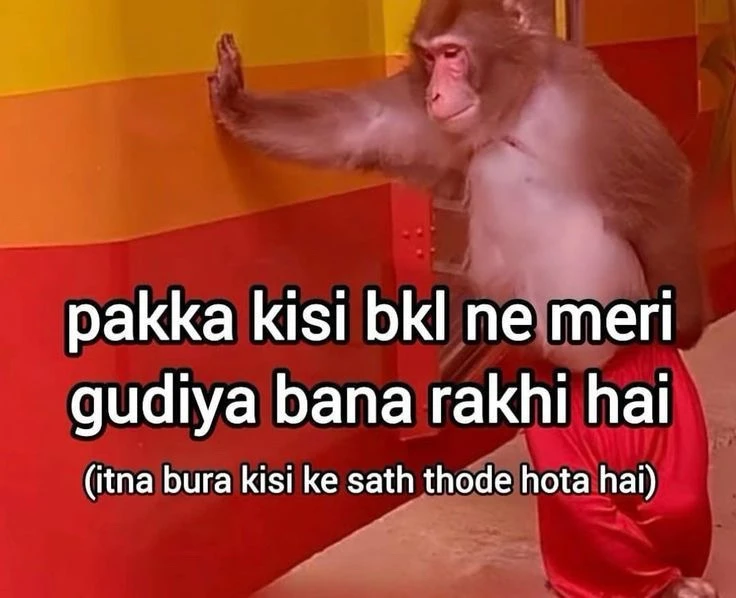 GIF uploaded by Juli