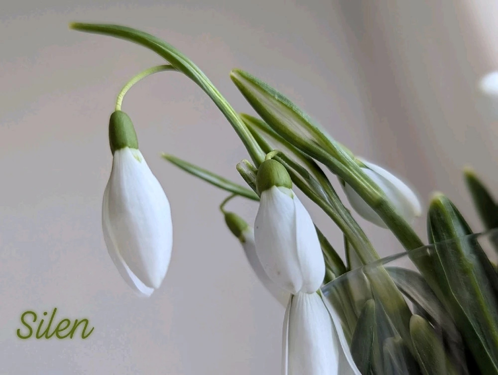 GIF uploaded by Alexandra