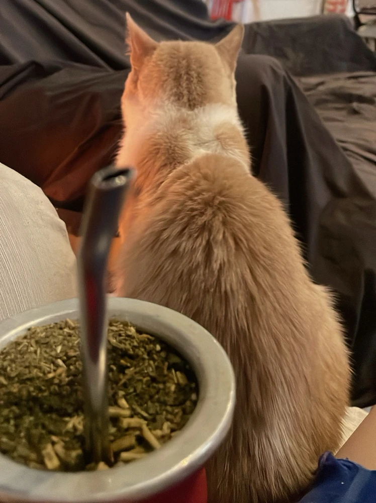 GIF uploaded by Barby