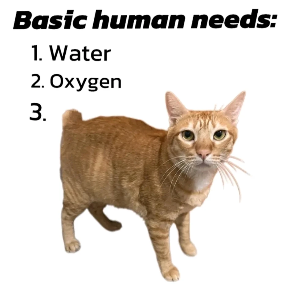 GIF uploaded by Dayna