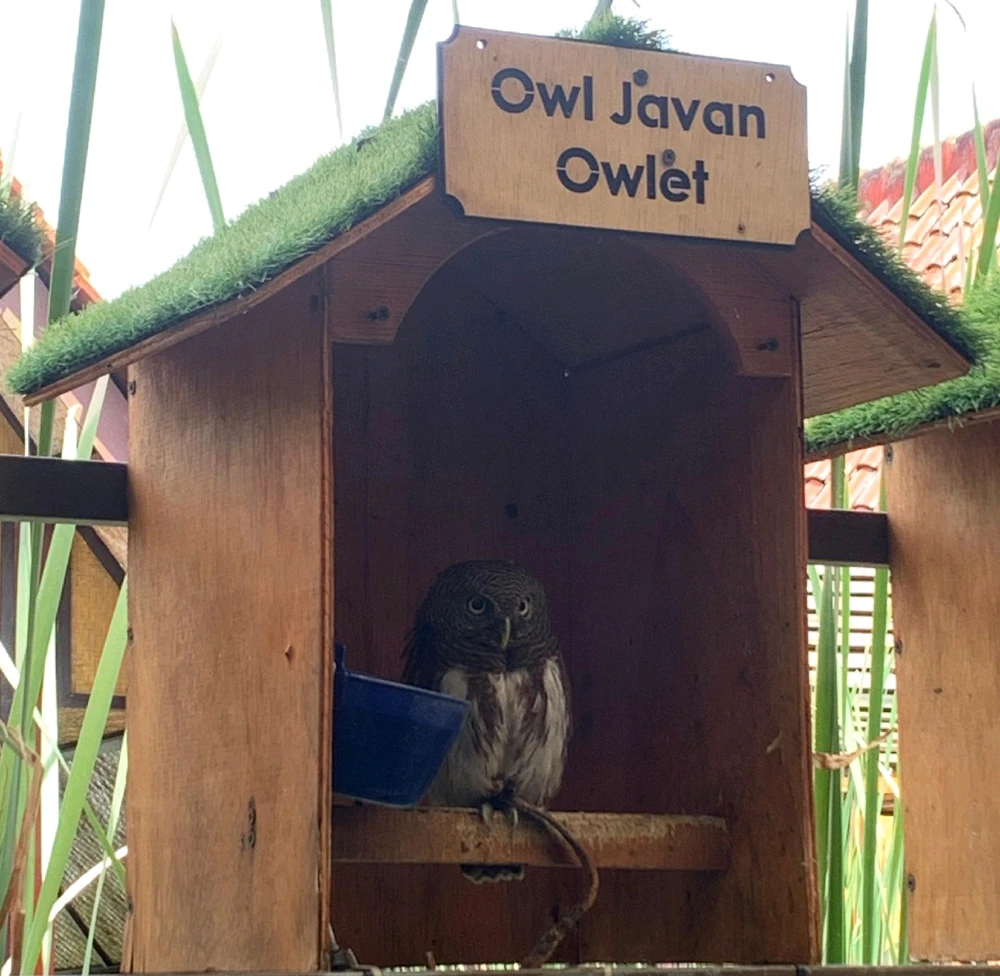 GIF uploaded by Dess