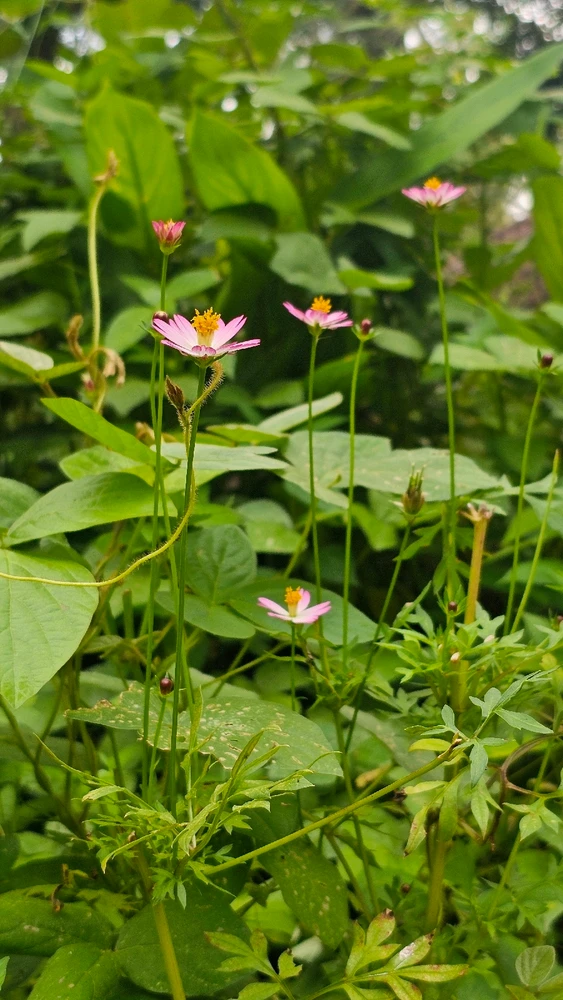 Image uploaded by Nita