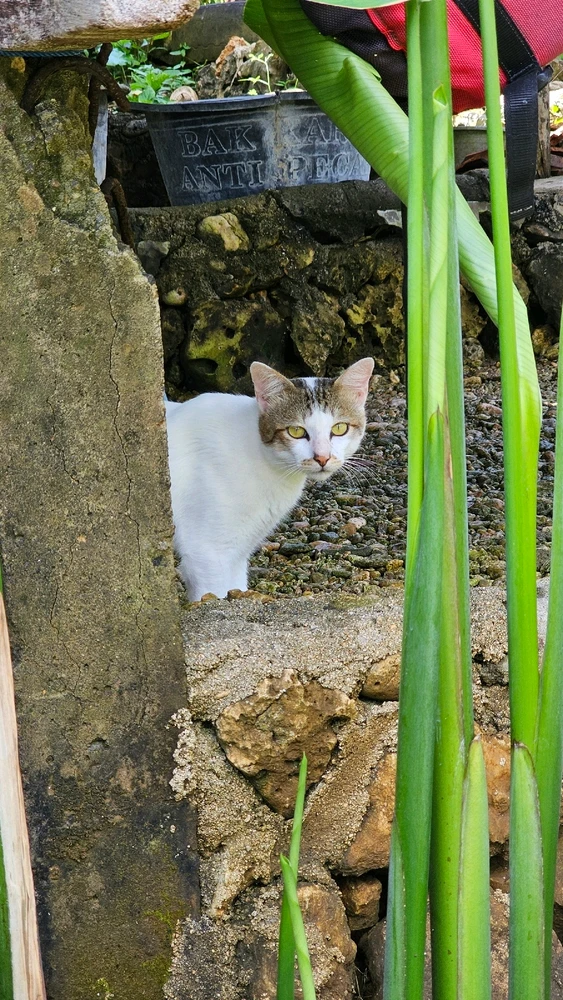 Image uploaded by Nita