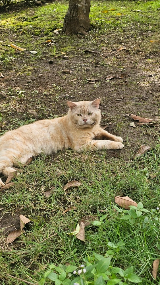 Image uploaded by Nita