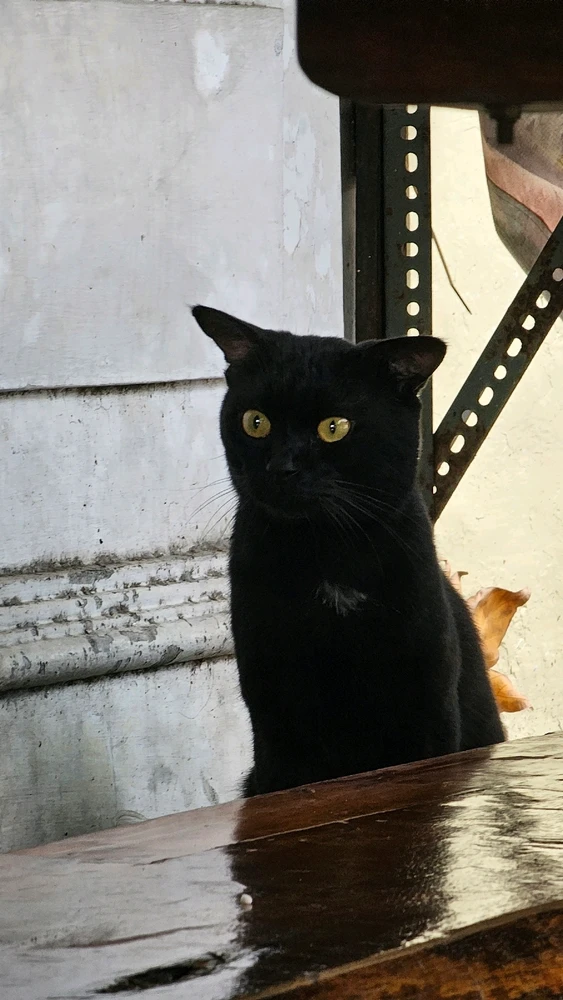 Image uploaded by Nita