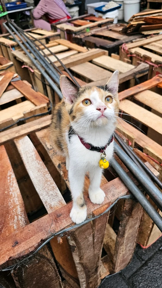 Image uploaded by Nita