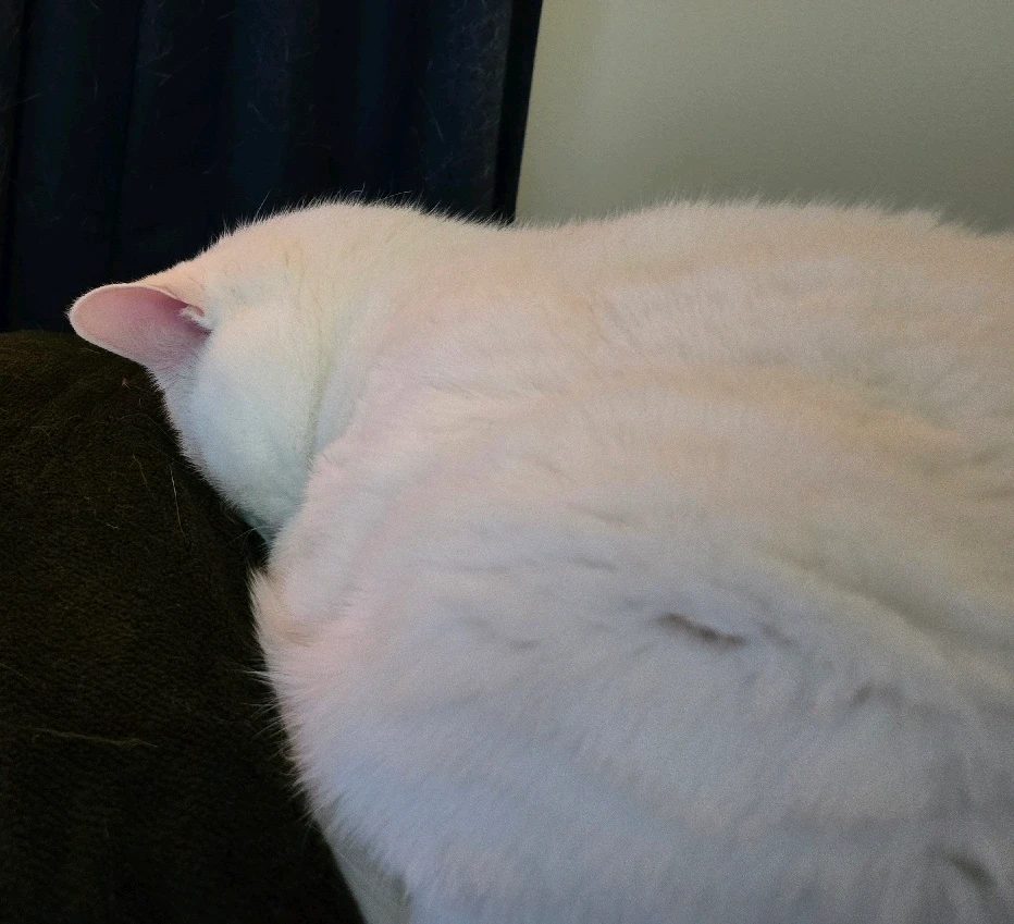 GIF uploaded by Gabriel