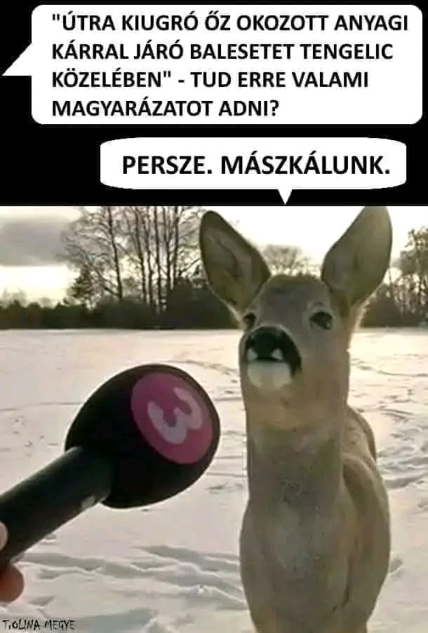 Gábor által feltöltött GIF