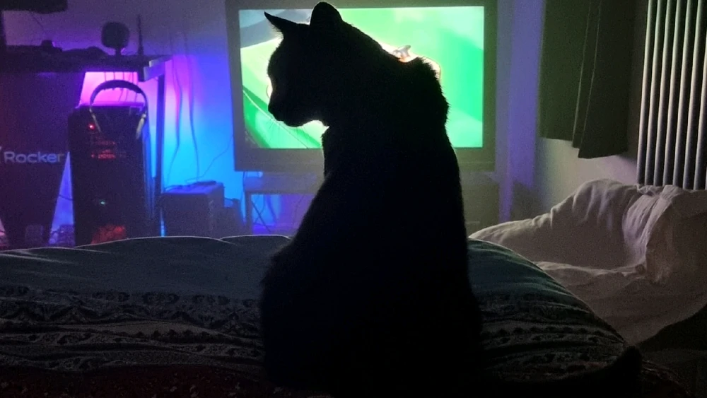 GIF uploaded by Su Purrschaman