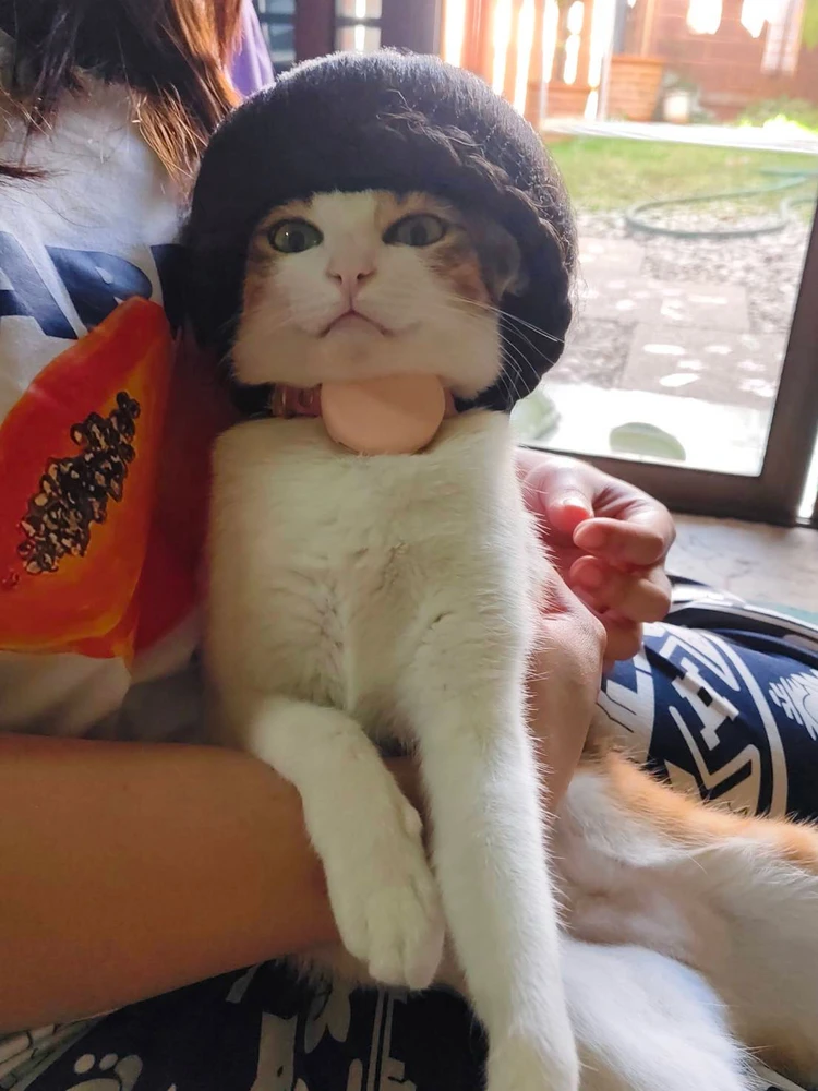 GIF uploaded by Pat♡