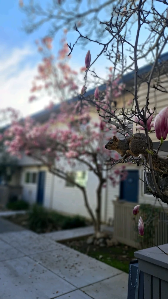 GIF uploaded by Denis