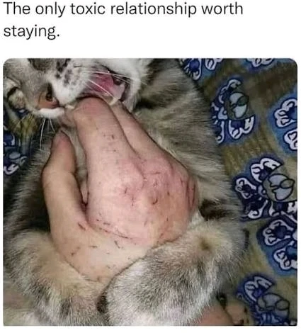 GIF uploaded by Mike