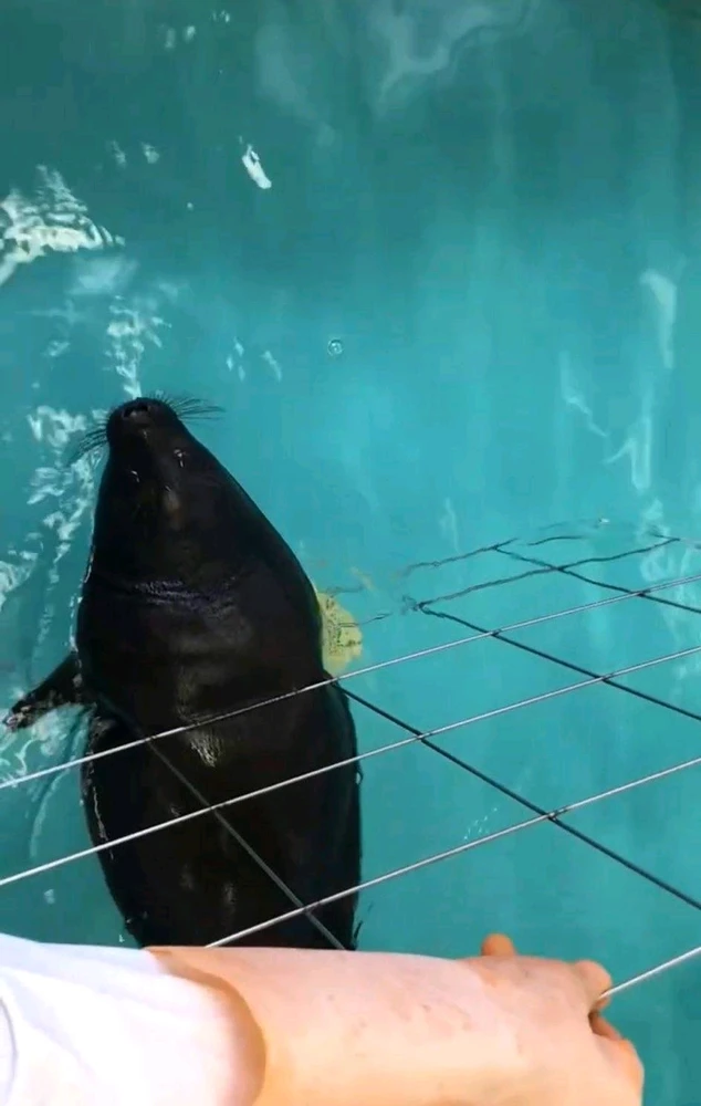 GIF uploaded by Luna