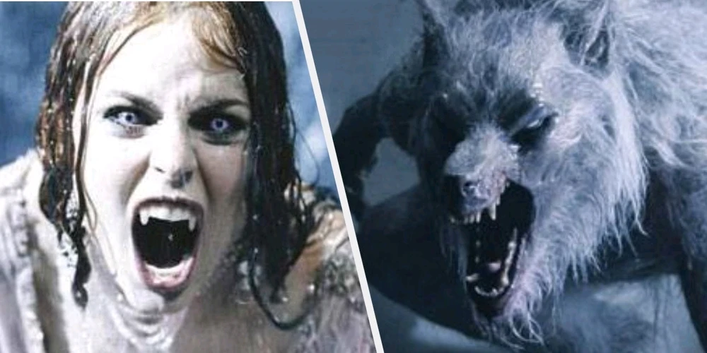 GIF uploaded by Marcus