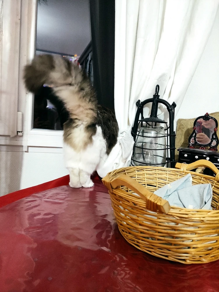 GIF uploaded by Nathalie