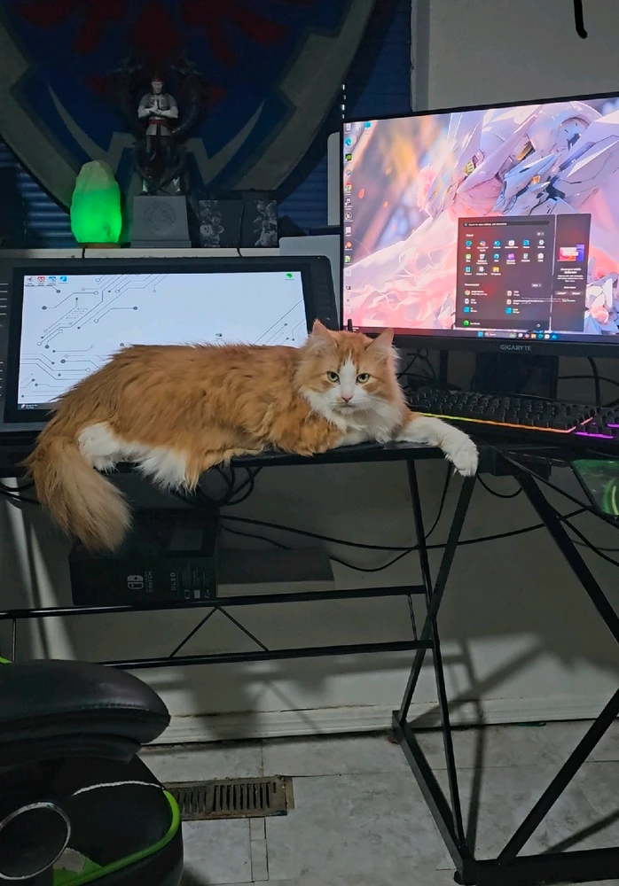 GIF uploaded by Juan