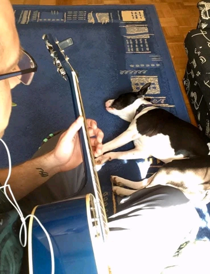 Tomi által feltöltött GIF