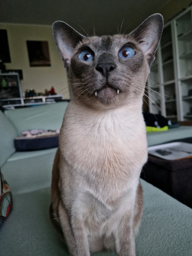 GIF diunggah dening Rita