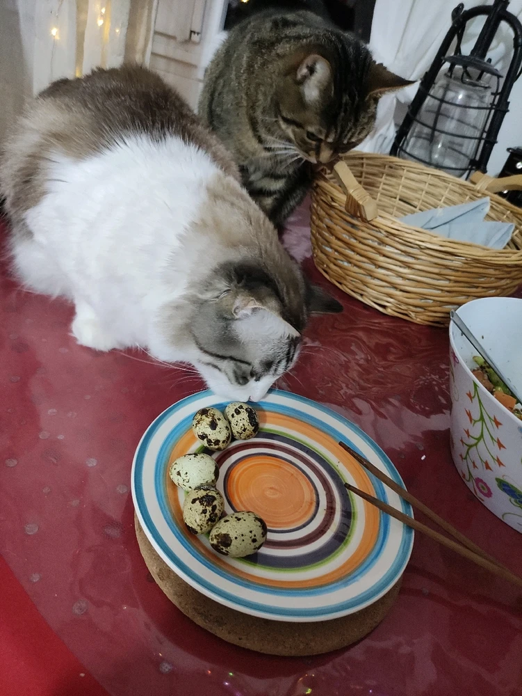 GIF uploaded by Nathalie