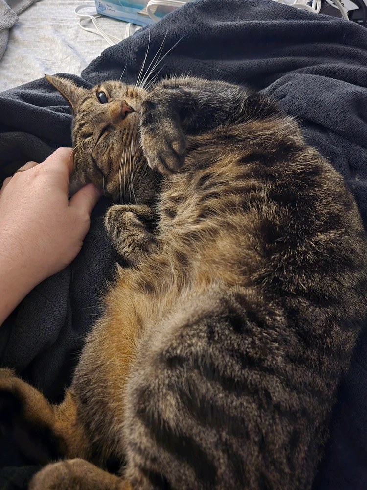 GIF uploaded by Erik