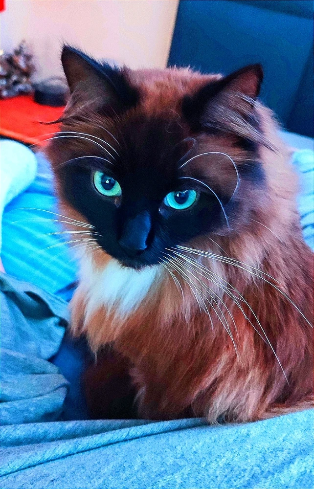 Image uploaded by Andy