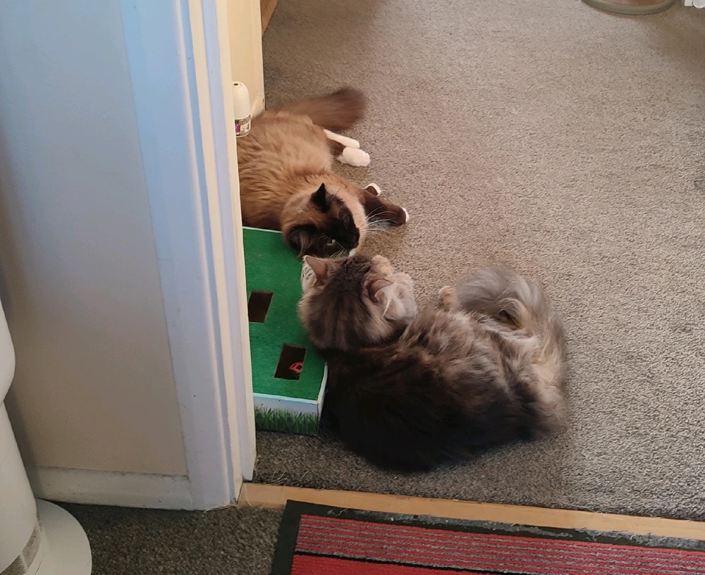 Image uploaded by Andy