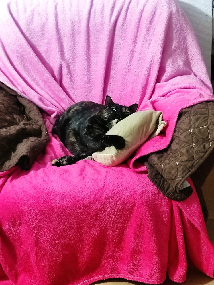 GIF uploaded by Nathalie