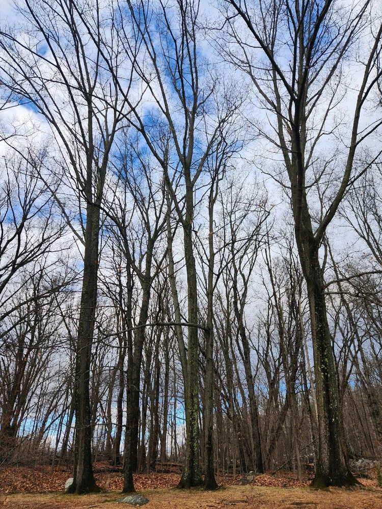 Image uploaded by Samantha