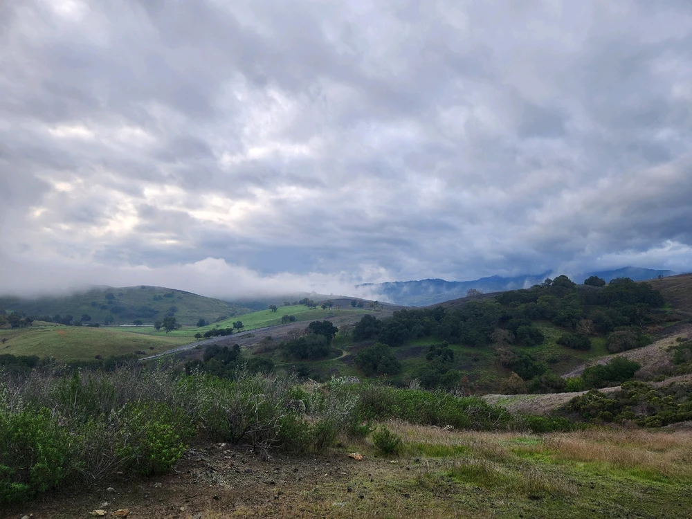 Image uploaded by Samantha