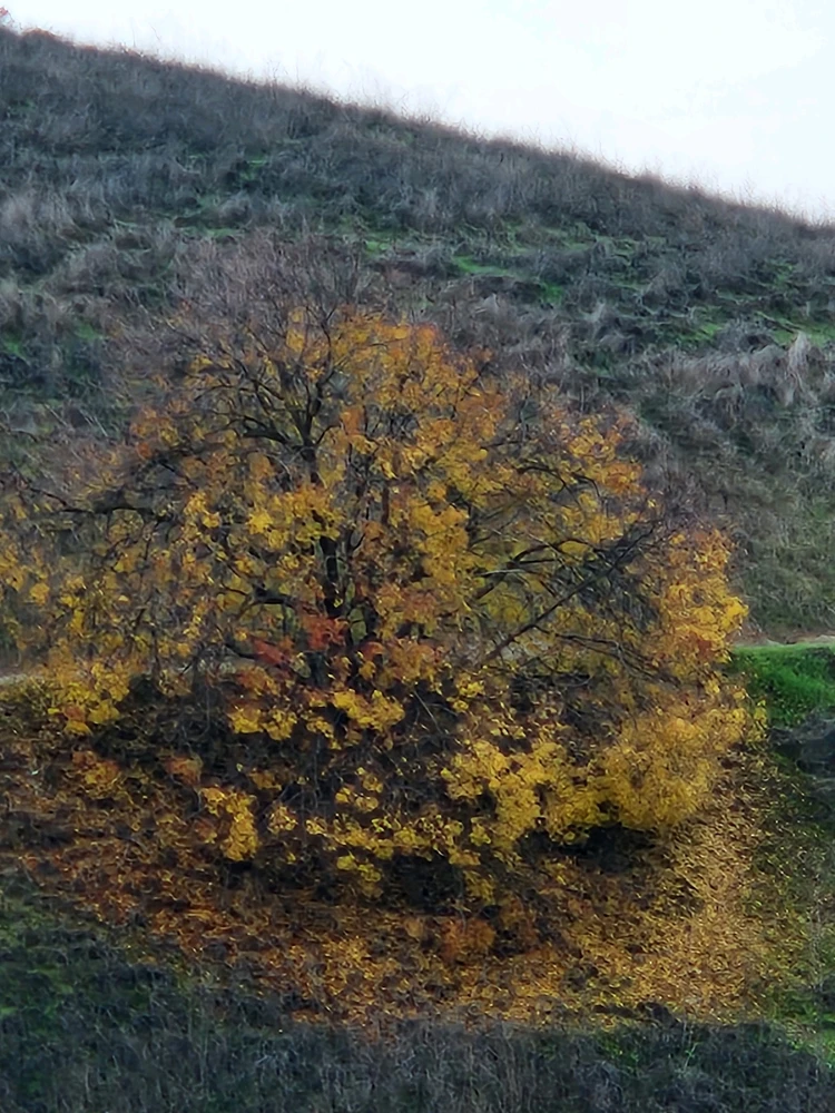 Image uploaded by Samantha