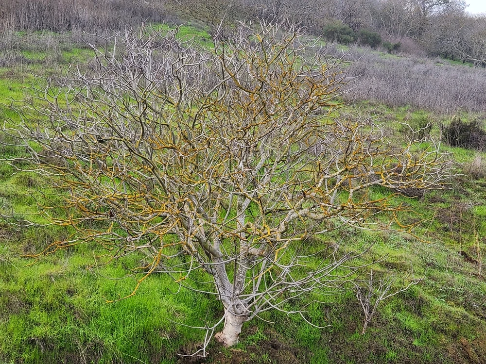 Image uploaded by Samantha