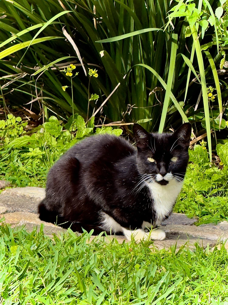 GIF uploaded by Adrián