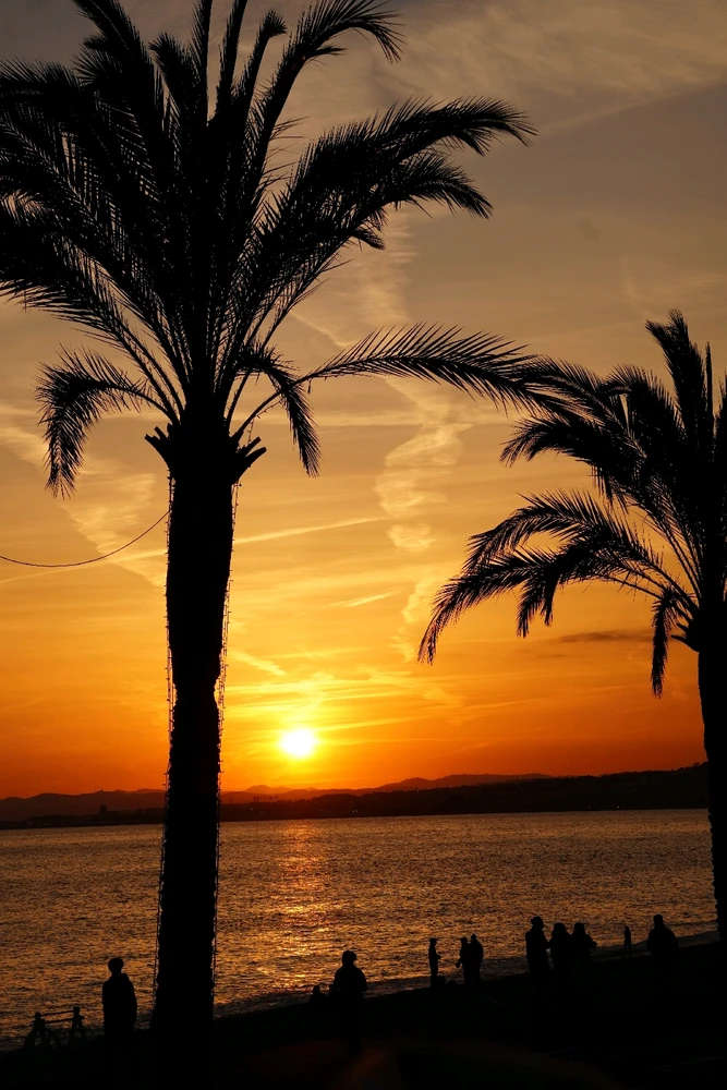 Image uploaded by Benardo