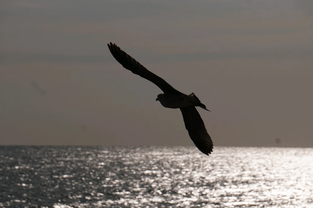 Image uploaded by Benardo