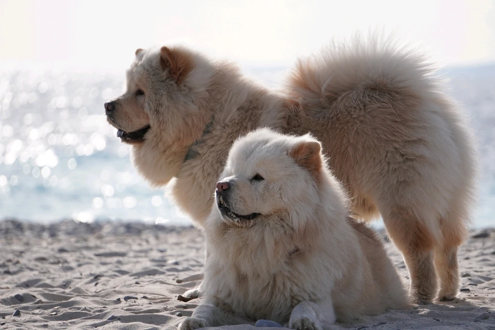 Image uploaded by Benardo